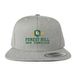 FH Shield + Logotype Lids, a Heather Grey Snapback Hat