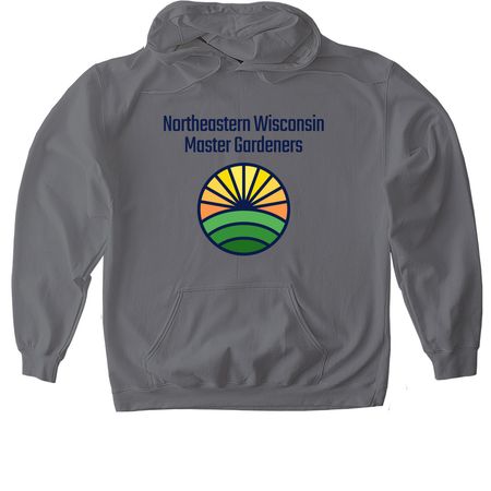 Shirts&nbsp; - Big Logo, a Charcoal Gildan Softstyle Pullover Hoodie