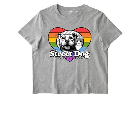 Pride Shirts, a Cool Heather Grey Stanley/Stella Women?s Stella Muser Tee