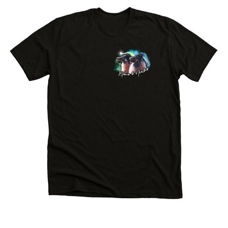 Elara & Nimbus 2026, a Solid Black Blend Premium Unisex Tee (back-view)
