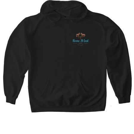 New 2025 logo&nbsp;, a Black Gildan Softstyle Pullover Hoodie