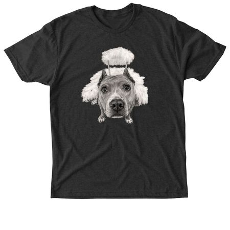 Spay & Neuter Angel Day 2026, a Vintage Black Triblend Unisex Tee