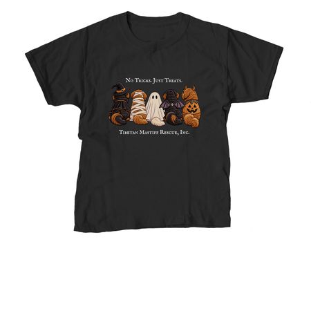 No Tricks. Just Treats., a Black Youth Unisex Tee