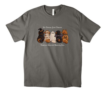 No Tricks. Just Treats., a Asphalt Unisex Heavyweight Tee