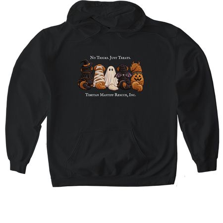 No Tricks. Just Treats., a Black Gildan Softstyle Pullover Hoodie