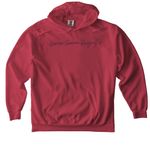 Wonderfully Made & Wildly Connected: 2026, a Crimson Comfort Colors Pullover Hoodie (back-view)