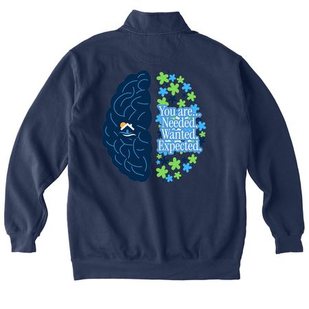 You are Needed, Wanted, Expected, a True Navy Comfort Colors Quarter Zip Pullover