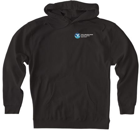 R/V Auk, a Black Heavyweight Pullover Hoodie