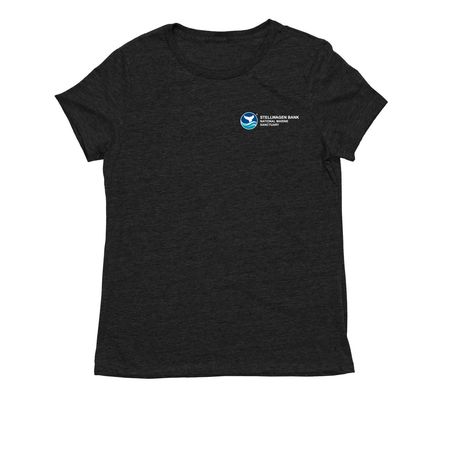 R/V Auk, a Space Black Allmade Eco Triblend Women?s Tee