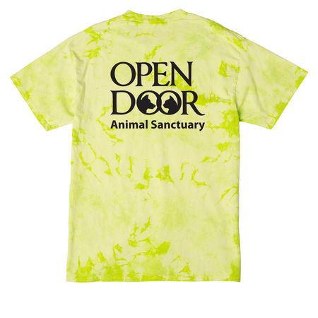 Volunteer tanks, hoodies, and tees, a Lemon Lime Crystal Tie Dye Tee (back-view)
