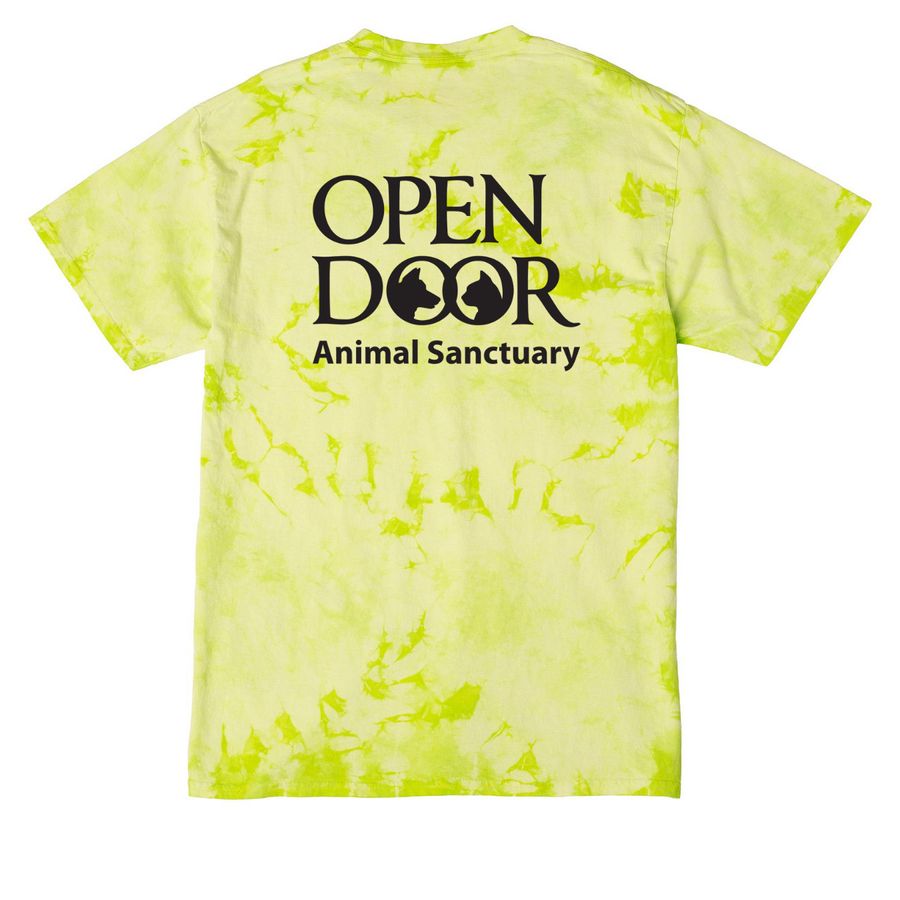 Volunteer tanks, hoodies, and tees, a Lemon Lime Crystal Tie Dye Tee (back-view)