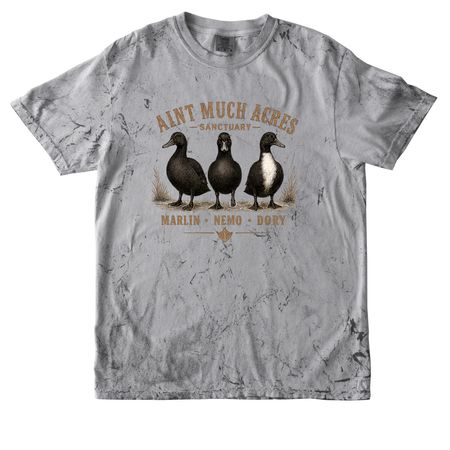 Just Keep Swimming, a Smoke Comfort Colors Colorblast Tee