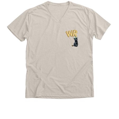 6 Year Rescue-Versary, a Heather Dust Premium V-Neck Tee