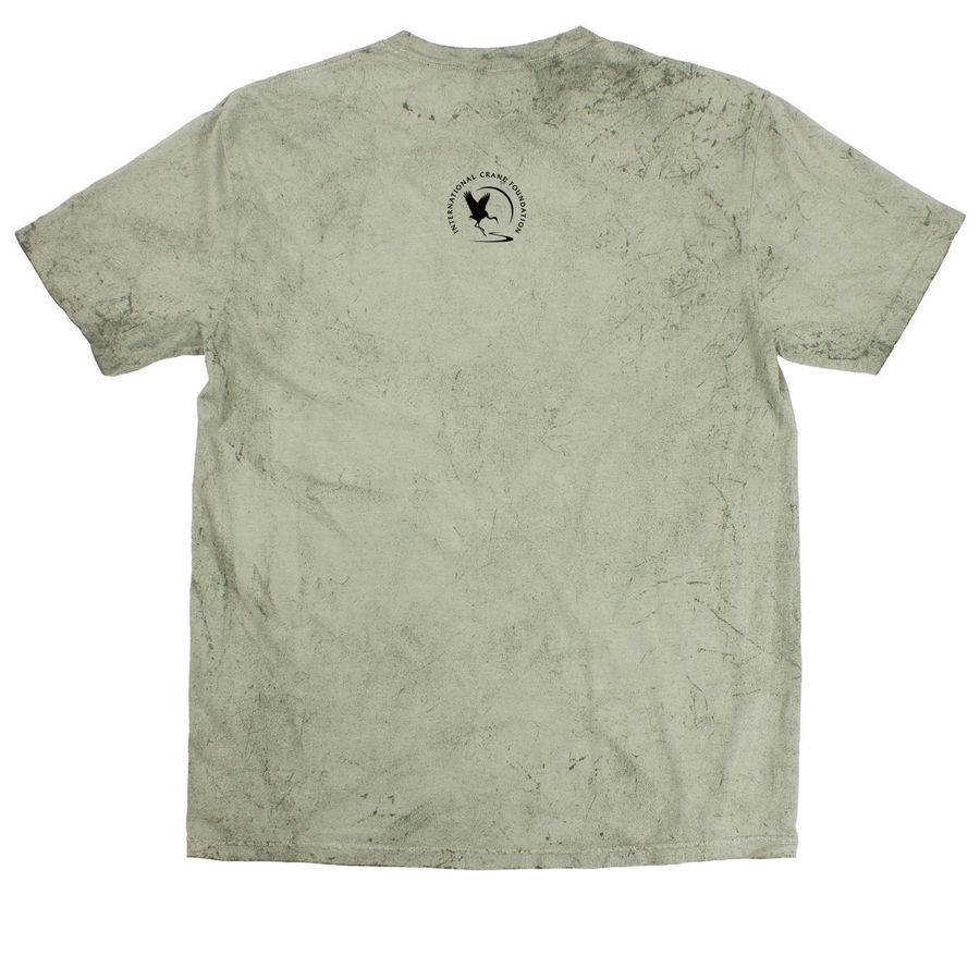I GIVE A WHOOP TIE DYE, a Fern Comfort Colors Colorblast Tee (back-view)
