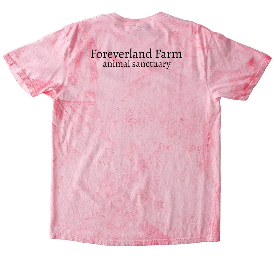 Pride Forever 2026, a Clay Comfort Colors Colorblast Tee (back-view)