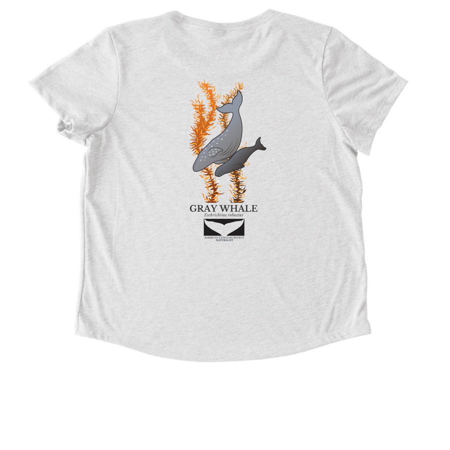 NATURALIST Classic Pocket & Kelp Back Logo, a Fairly White Allmade Eco Triblend Women?s Scoop Neck Tee