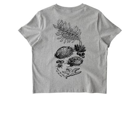 ytt Tribe Land Back, a Cool Heather Grey Stanley/Stella Women?s Stella Muser Tee