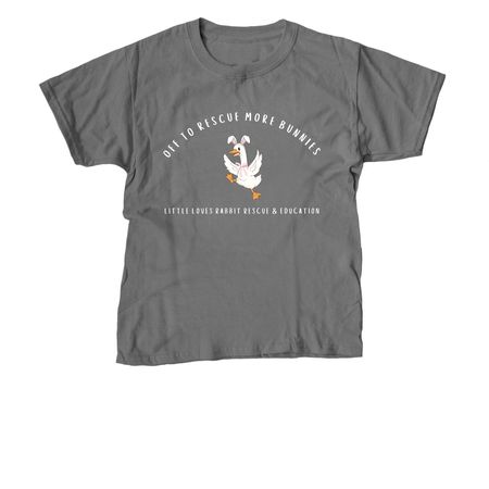 Bunny Rescue Porch Goose, a Charcoal Youth Unisex Tee