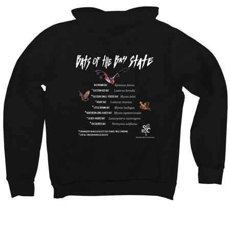 Bats of the Bay State&nbsp;, a Black Premium Pullover Hoodie (back-view)