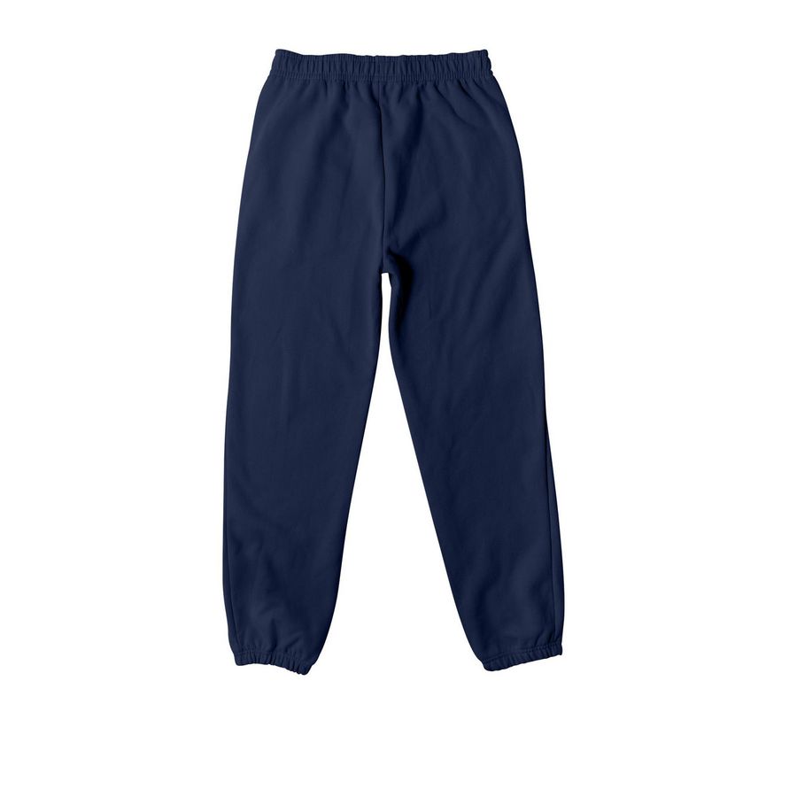 Doctor of OT Sweatpants, a Navy Premium Heavyweight Jogger (back-view)