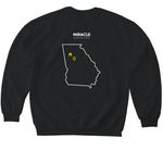 State Sweatshirt, a Black Softstyle Crewneck Sweatshirt (back-view)