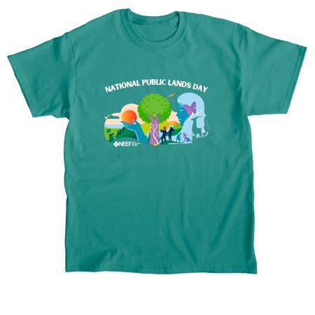 Connected (The Classic), a Jade Dome Classic Unisex Tee