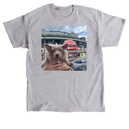 Ted Loves the Cubs, a Sport Grey Classic Unisex Tee