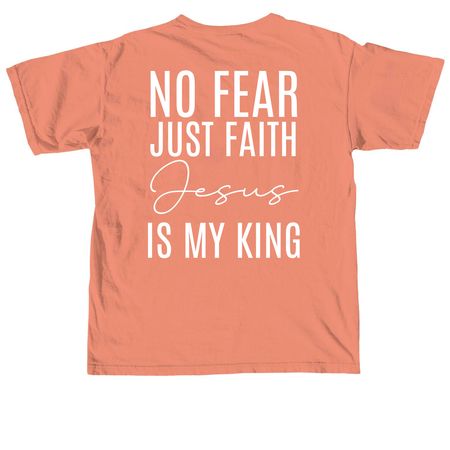 No fear Tee, a Terracotta Comfort Colors Unisex Tee