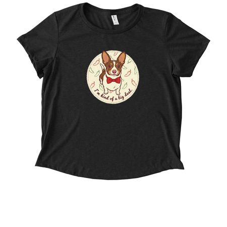 Meet Lion King, a Space Black Allmade Eco Triblend Women?s Scoop Neck Tee