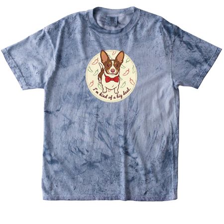 Meet Lion King, a Ocean Comfort Colors Colorblast Tee