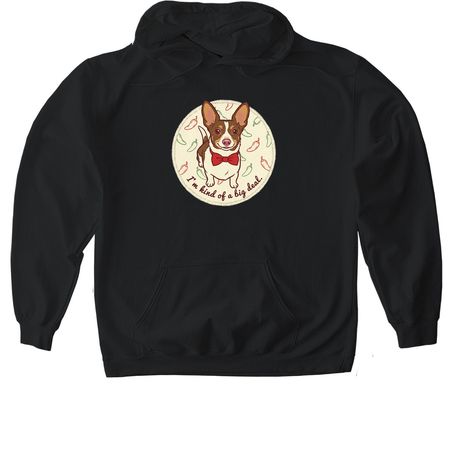Meet Lion King, a Black Gildan Softstyle Pullover Hoodie