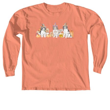 Halloween Springers, a Terracotta Comfort Colors Long Sleeve Tee