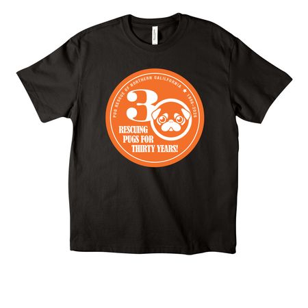 PRNC 30 Year Anniversary 1996 to 2026, a Black Unisex Heavyweight Tee
