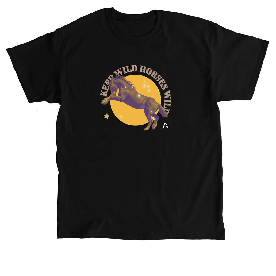 Healing Wild 2026 Lake Tahoe, a Black Classic Unisex Tee