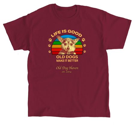 Life is Rainbow, a Cardinal Red Classic Unisex Tee