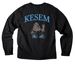 Camp Kesem Summit Merch&nbsp;, a Black Unisex Heavyweight Long Sleeve Tee (back-view)