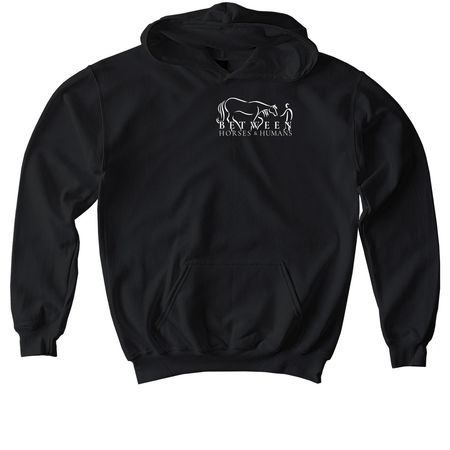 Youth Life Lessons from Horses - Dark Colors, a Black Softstyle Youth Pullover Hoodie