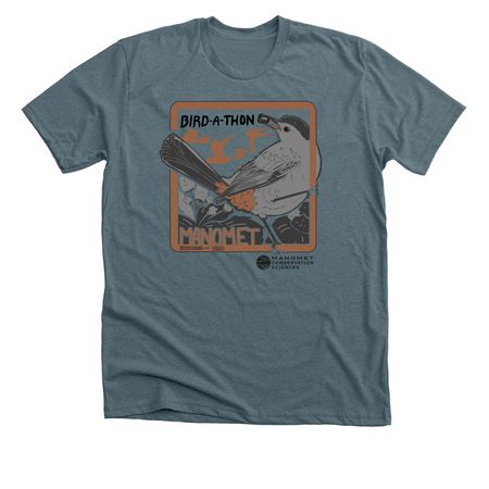 Bird-a-Thon 2026, a Heather Slate Premium Unisex Tee