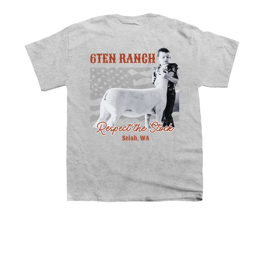6Ten Dino, a Sport Grey Youth Unisex Tee (back-view)