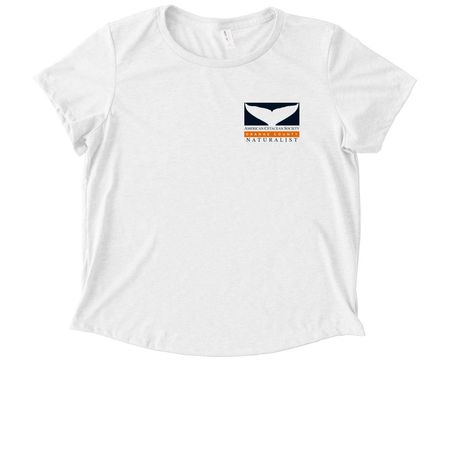 NATURALIST Classic Pocket & Kelp Back Logo, a Fairly White Allmade Eco Triblend Women?s Scoop Neck Tee (back-view)