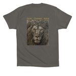 CHESED ? Lion of Judah | Ask Me What It Means, a Asphalt Premium Cotton Tee (back-view)