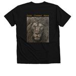 CHESED ? Lion of Judah | Ask Me What It Means, a Solid Black Blend Premium V-Neck Tee (back-view)