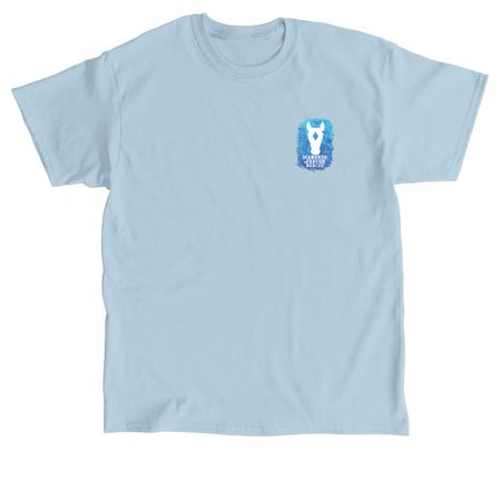 DITR Spirit Wear, a Light Blue Classic Unisex Tee