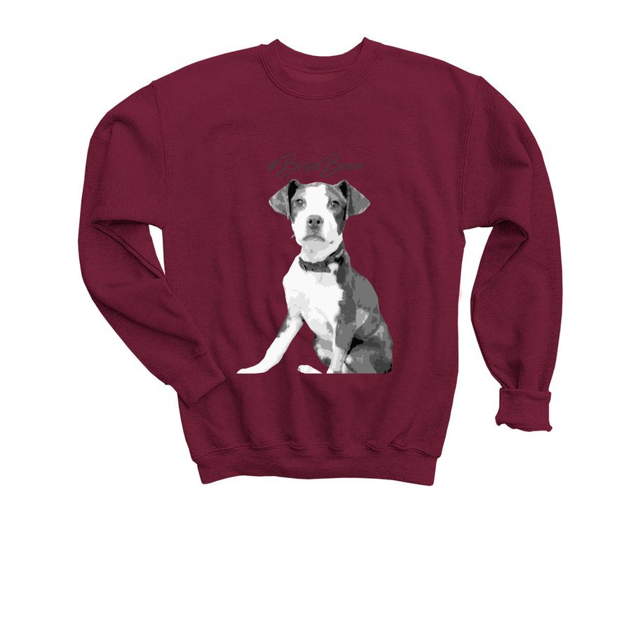 BrisaBrave&nbsp;, a Maroon Youth Crewneck Sweatshirt