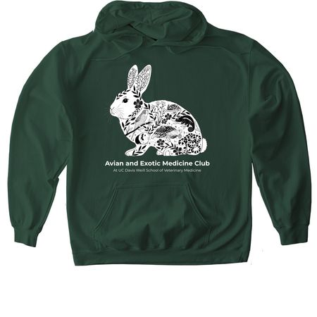 AEMC Merch, a Forest Green Softstyle Pullover Hoodie
