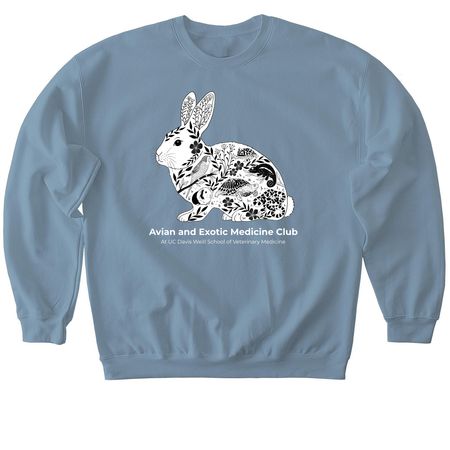AEMC Merch, a Stone Blue Softstyle Crewneck Sweatshirt