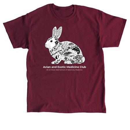 AEMC Merch, a Maroon Classic Unisex Tee