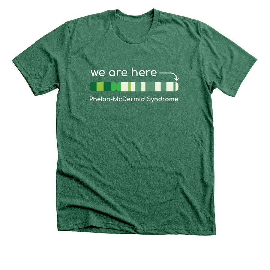 We Are Here (dark colors), a Heather Grass Green Premium Unisex Tee