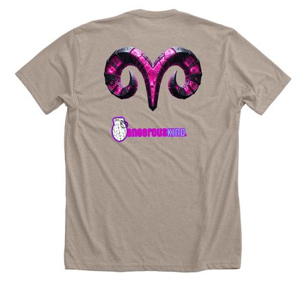 Team Aries, a Heather Stone Premium Unisex Tee