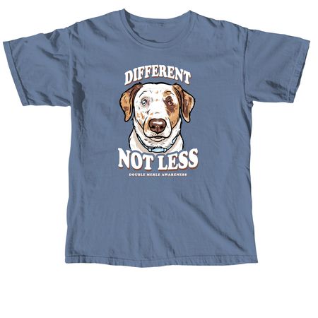 Different, not less, a Blue Jean Comfort Colors Unisex Tee